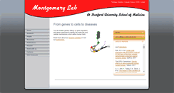 Desktop Screenshot of montgomerylab.stanford.edu